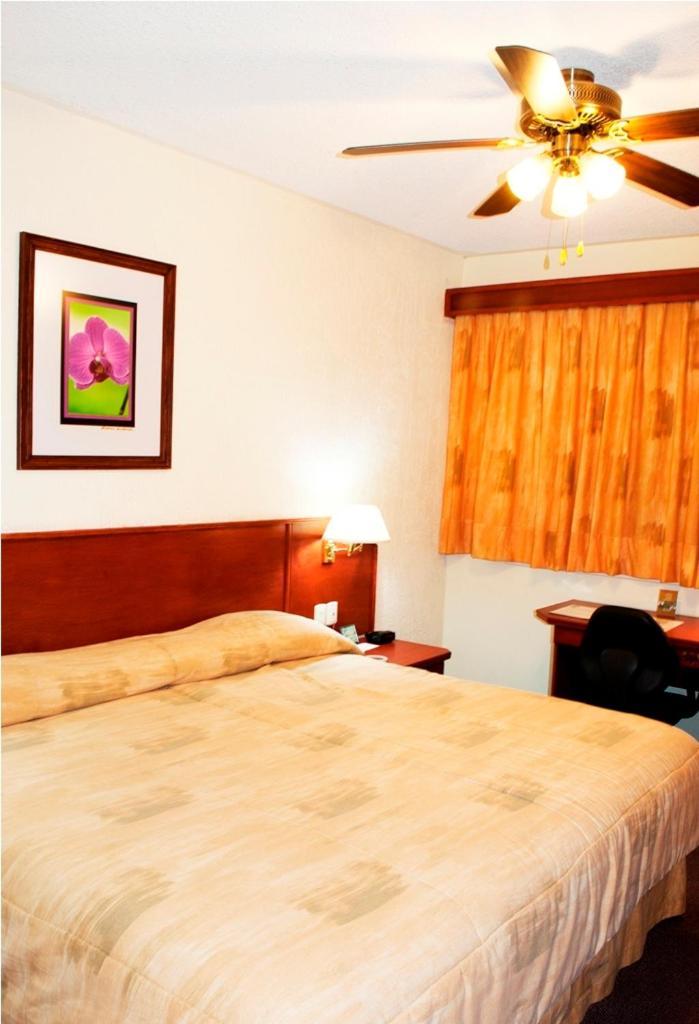 Hotel Marcella Clase Ejecutiva Morelia Bagian luar foto